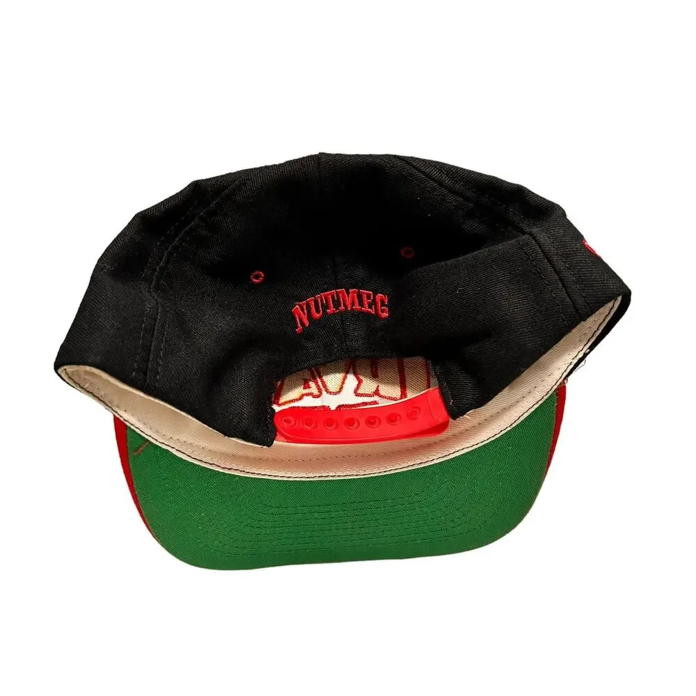 Vtg Ernie Irvan #28 Havoline Nascar Hat NUTMEG Snapback Stitched Logo 90's NWT